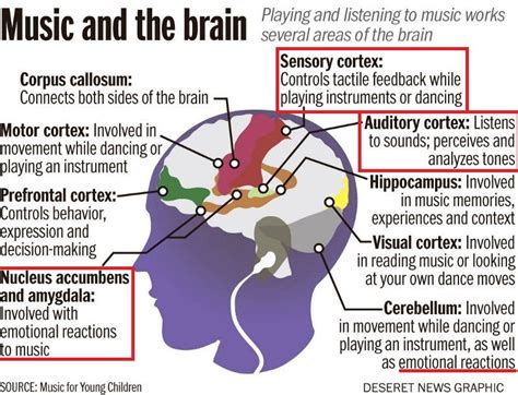 can deaf people feel music? do they experience it differently?