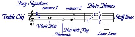 Which Element of Music Was the First to Be Notated? A Deep Dive into the History of Music Notation